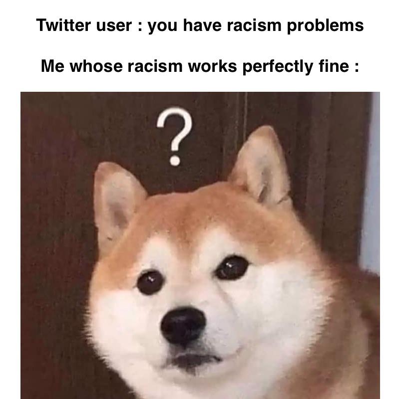 funny memes - dog - Twitter user you have racism problems Me whose racism works perfectly fine ?