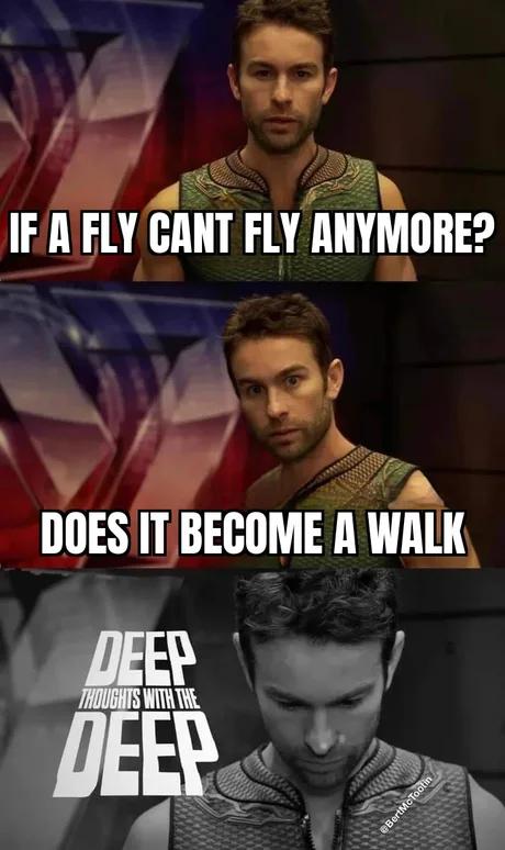 funny memes - deep thoughts with the deep the boys meme - If A Fly Cant Fly Anymore? Does It Become A Walk Deep Thoughts With The Deep BertMcTootin