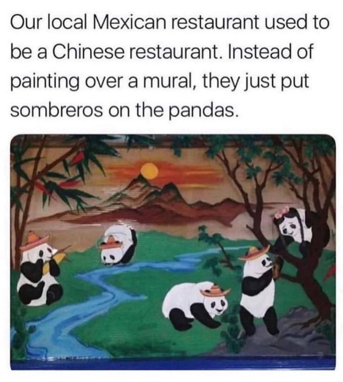 funny memes - 1 peter 3 3 4 - Our local Mexican restaurant used to be a Chinese restaurant. Instead of painting over a mural, they just put sombreros on the pandas.