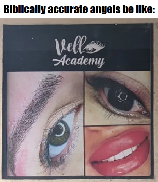 dank memes - eye - Biblically accurate angels be Vello Academy