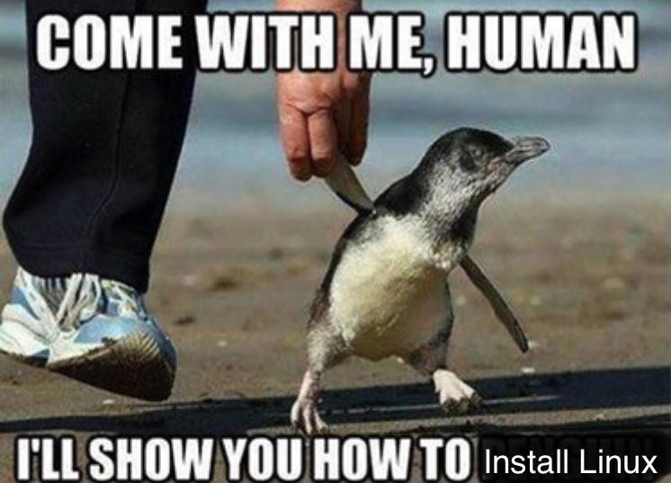dank memes - penguin meme - Come With Me, Human I'Ll Show You How To Install Linux