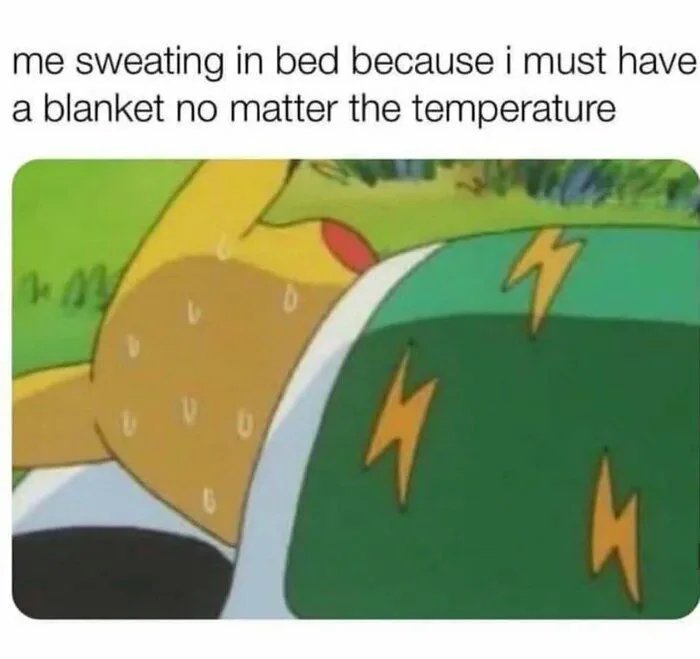funny memes - me sweating in bed - me sweating in bed because i must have a blanket no matter the temperature 4 12