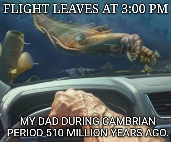 funny memes - photo caption - Flight Leaves At My Dad During Cambrian Period 510 Million Years Ago.