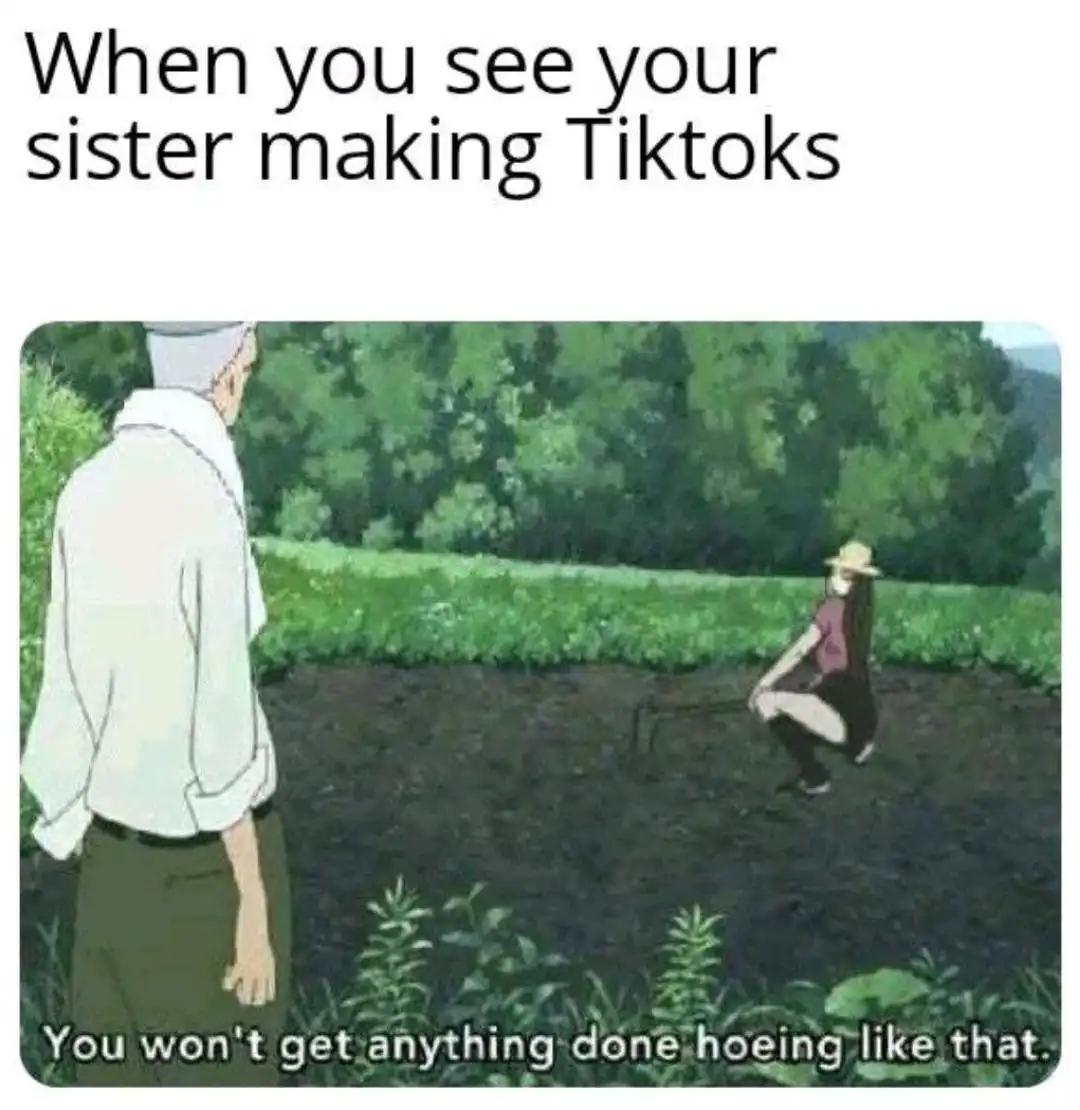 funny memes - you see your sister making tiktoks - When you see your sister making Tiktoks You won't get anything done hoeing that.