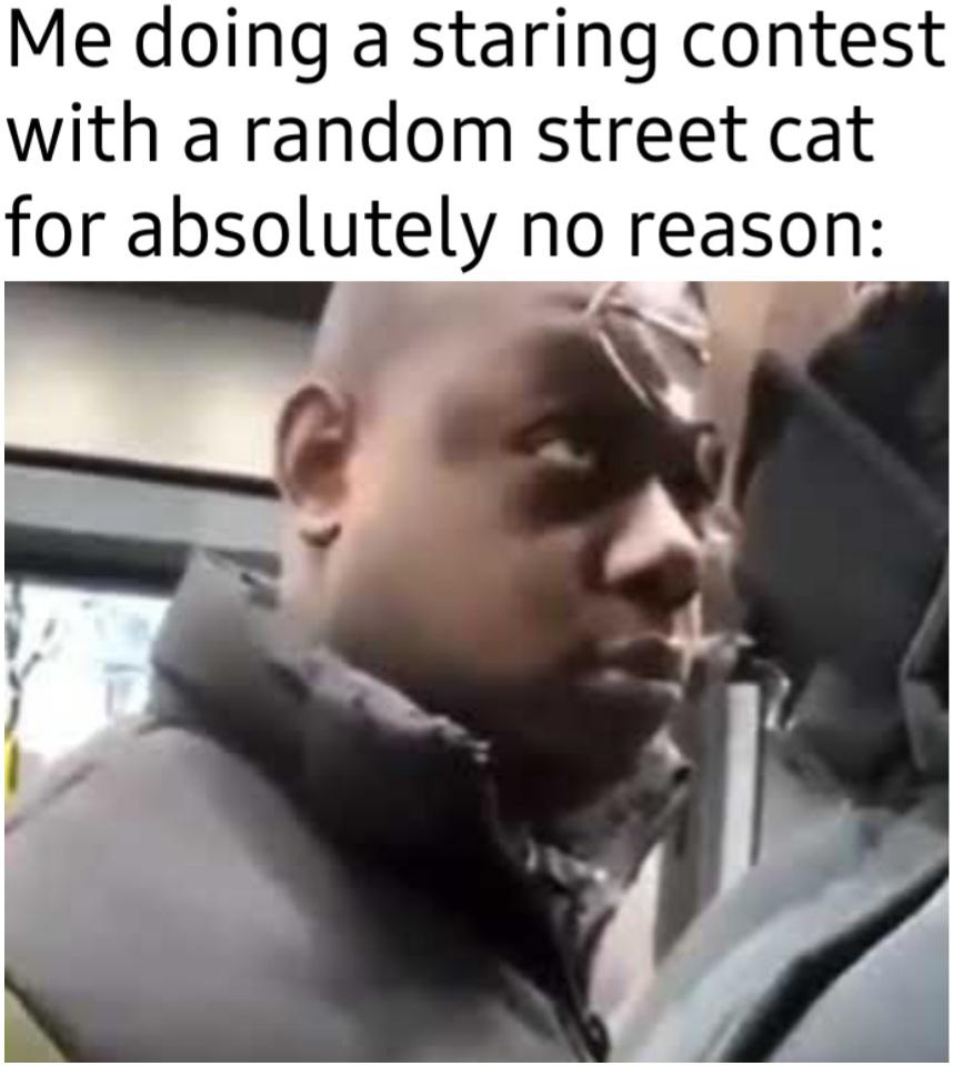 Monday Morning Randomness - staring golozer ritchie meme - Me doing a staring contest with a random street cat for absolutely no reason