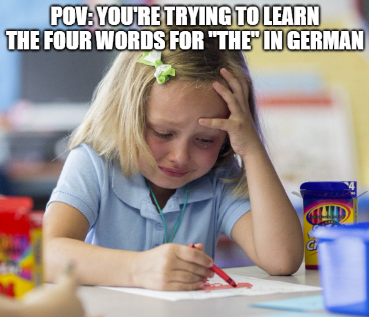 Monday Morning Randomness - girl crying drawing meme - PovYou'Re Trying To Learn The Four Words For "The" In German