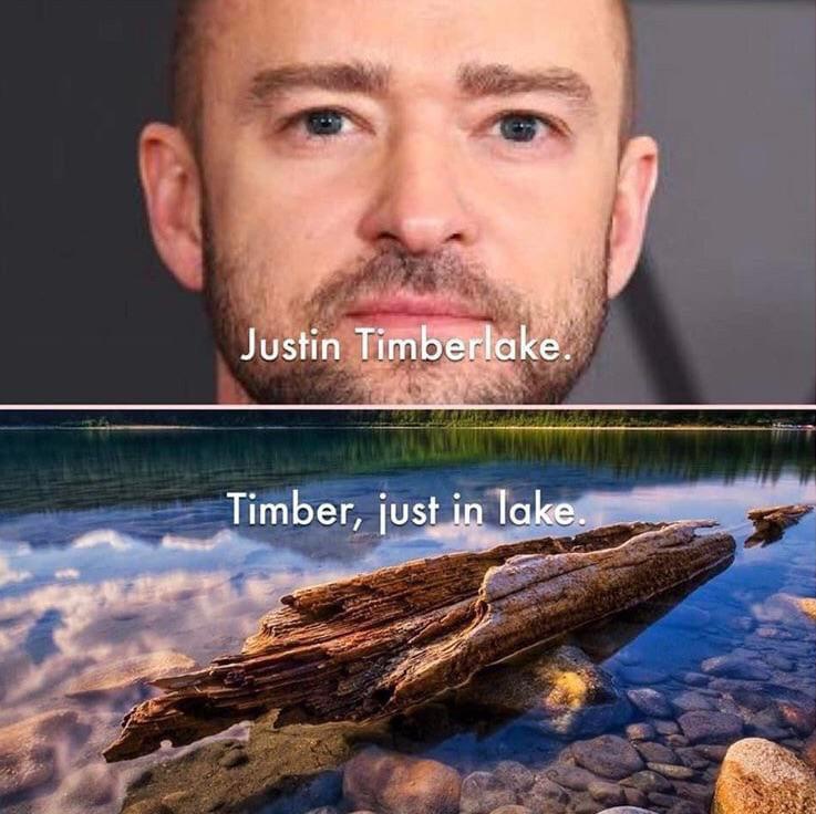 funny memes --  timber just in lake - Justin Timberlake. Timber, just in lake.