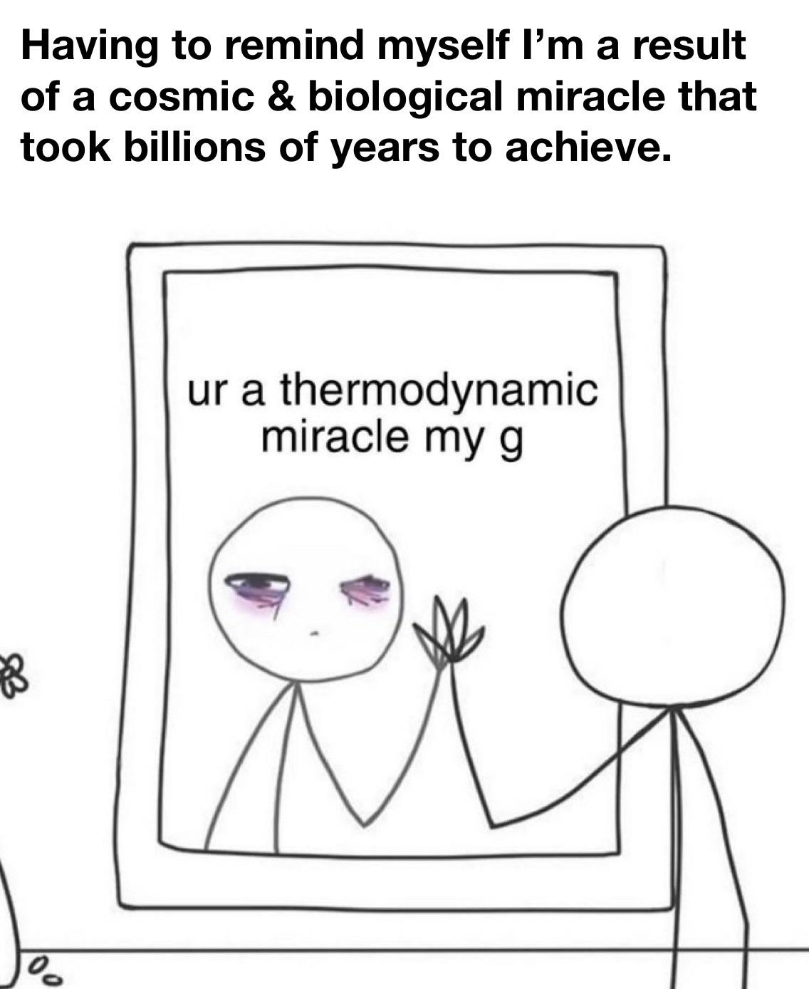 funny memes - cartoon - Having to remind myself I'm a result of a cosmic & biological miracle that took billions of years to achieve. Rb 00 ur a thermodynamic miracle my g