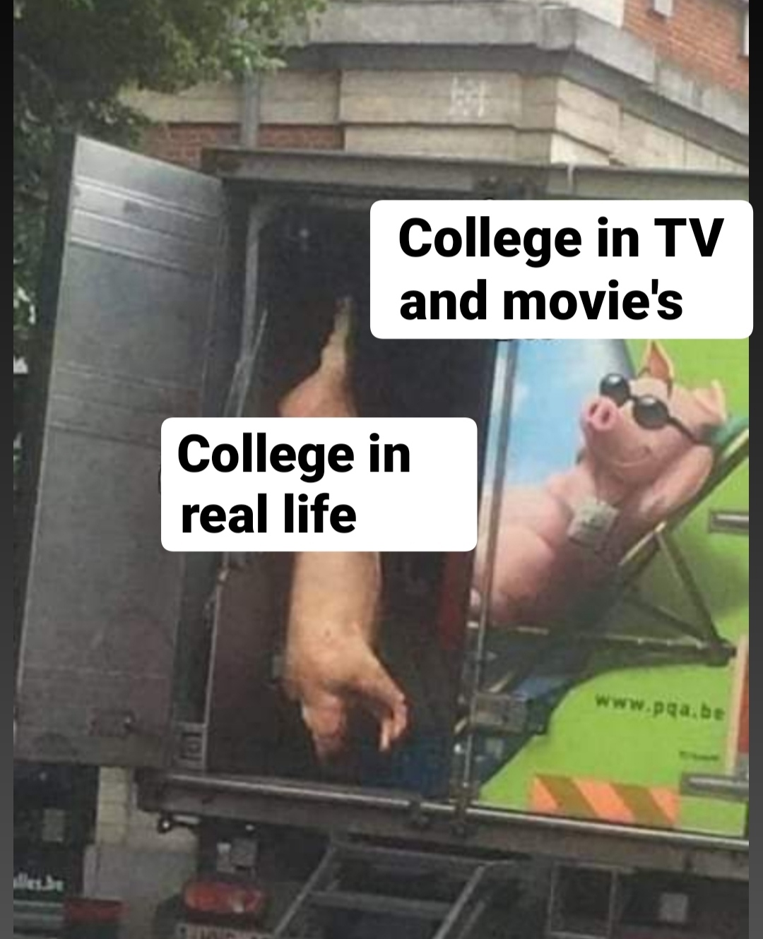 funny memes - vehicle - alles.be 14 College in Tv and movie's College in real life