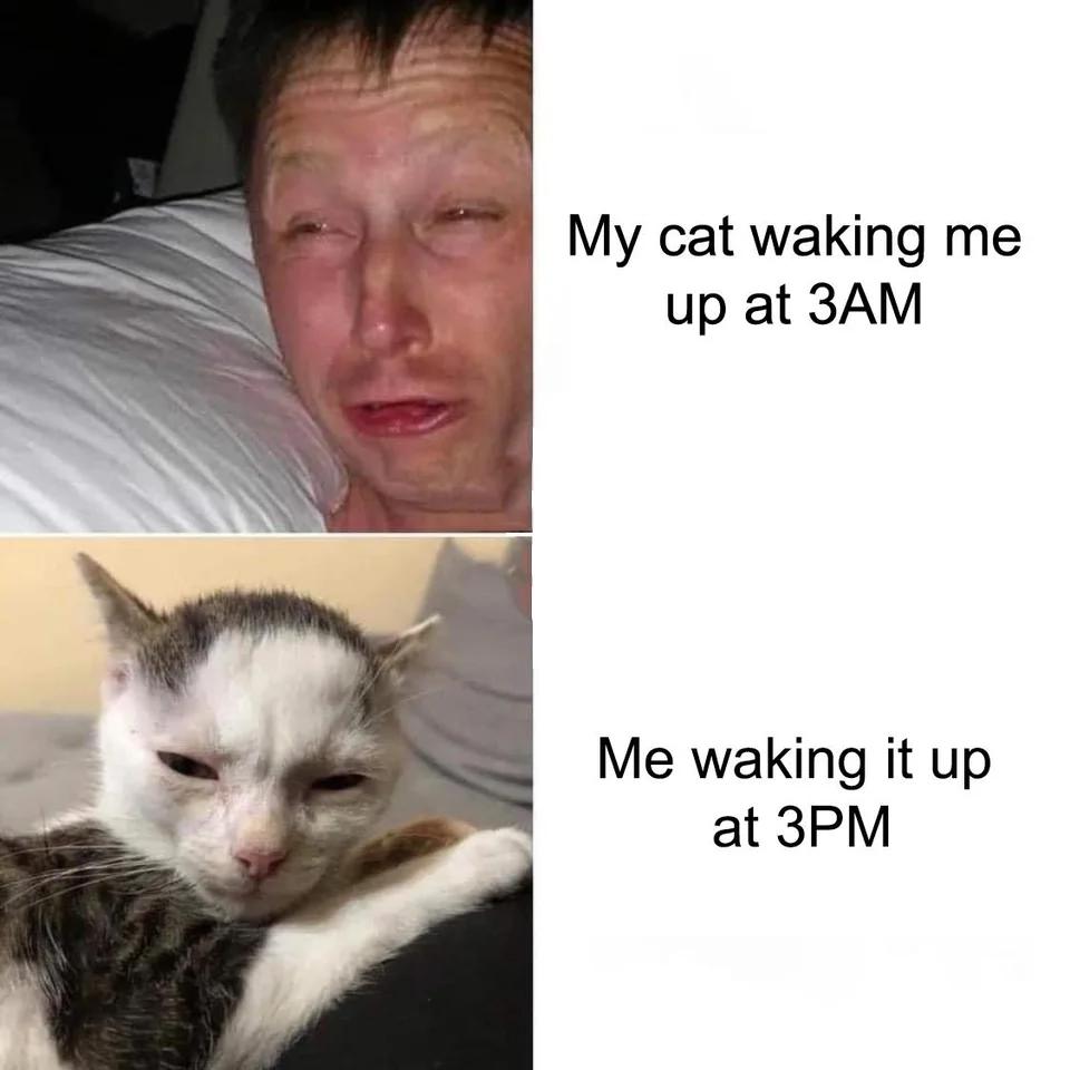 funny memes - my cat waking me up meme - My cat waking me up at 3AM Me waking it up at 3PM