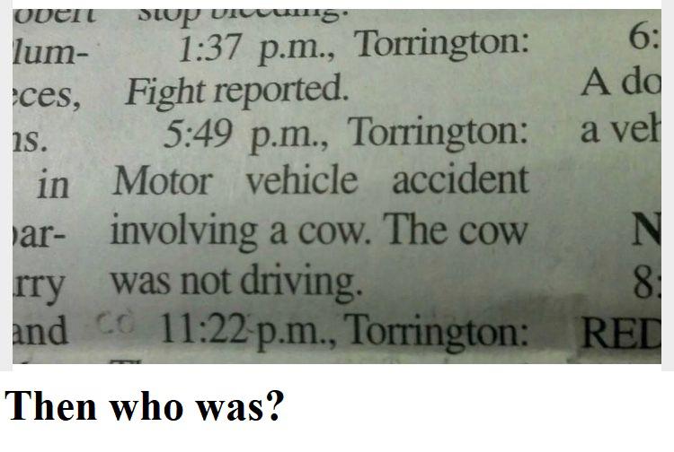 dank memes and pics - handwriting - Odcit stop dreams. lum ces, 1S. in ar p.m., Torrington Fight reported. p.m., Torrington Motor vehicle accident involving a cow. The cow rry was not driving. and Co p.m., Torrington Then who was? 6 A do a vel N 8 Red