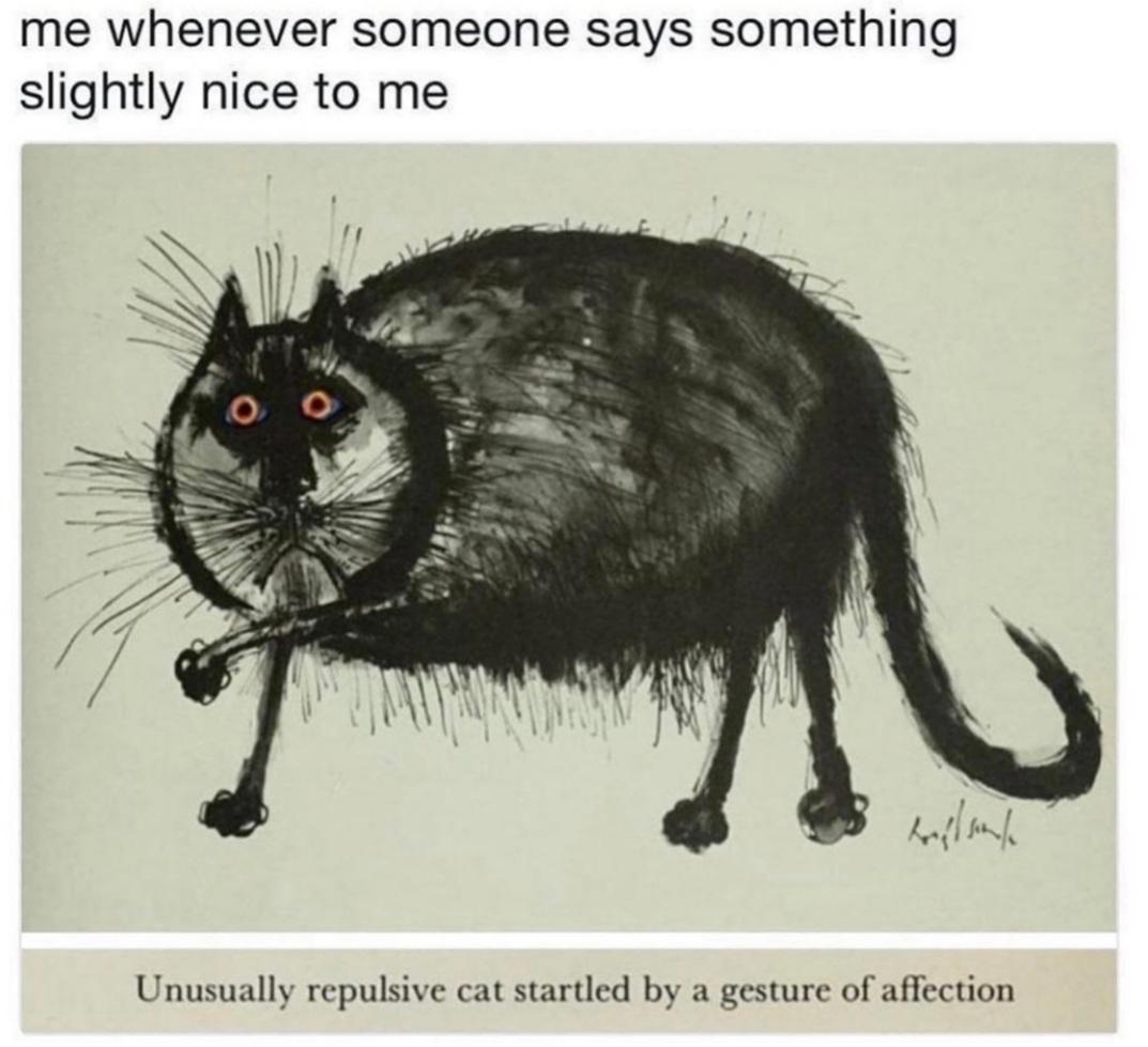 dank memes and pics - unusually repulsive cat startled by a gesture - me whenever someone says something slightly nice to me englant Unusually repulsive cat startled by a gesture of affection