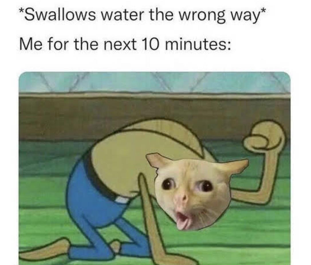dank memes - spongebob hurt meme - Swallows water the wrong way Me for the next 10 minutes