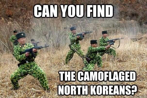 daily dose of randoms - funny military - Can You Find The Camoflaged North Koreans? squickmeme.com