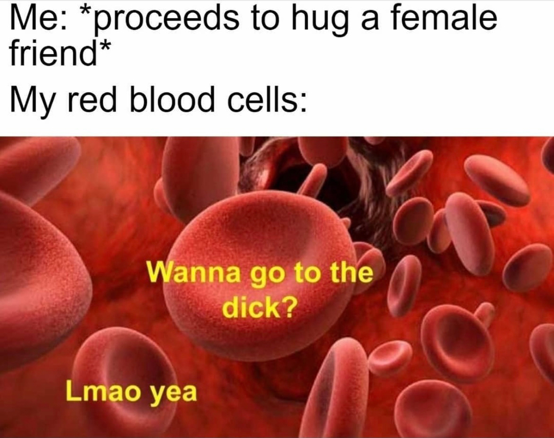 daily dose of randoms - blood cells in the morning - Me proceeds to hug a female friend My red blood cells Wanna go to the dick? Lmao yea e