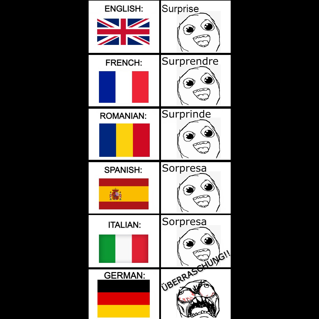 funny memes  - design - English Surprise French Surprendre Ii Romanian Surprinde I Spanish Sorpresa Italian Sorpresa German Berrasshung!!