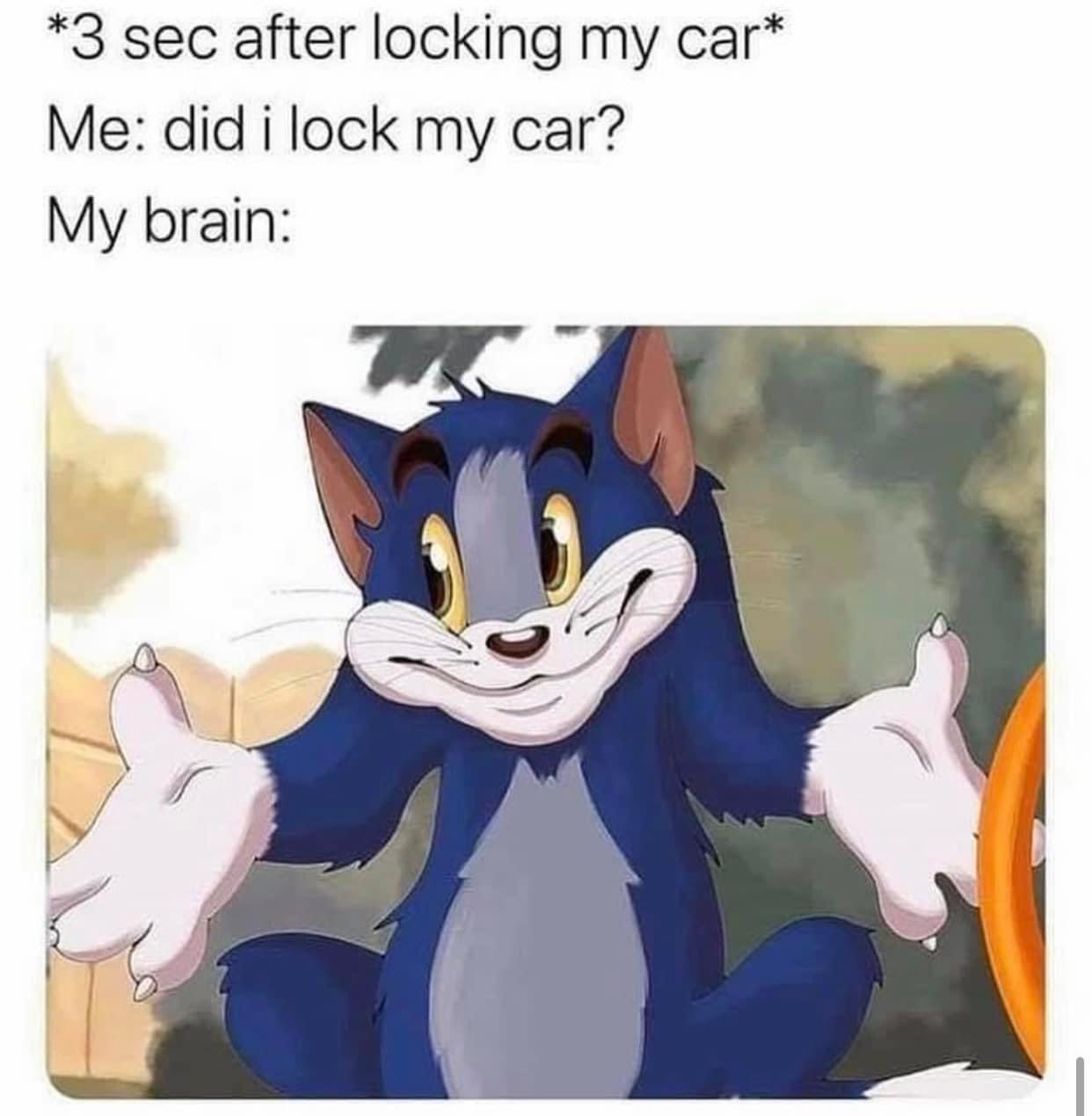 funny memes  - 3 seconds after locking the door - 3 sec after locking my car Me did i lock my car? My brain