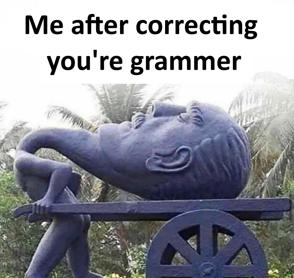 daily dose of randoms - photo caption - Me after correcting you're grammer