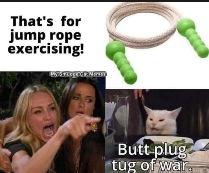 photo caption - That's for jump rope exercising! My Smudge Cat Memes Butt plug tug of war.