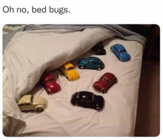 monday morning randomness - bed bugs meme - Oh no, bed bugs.