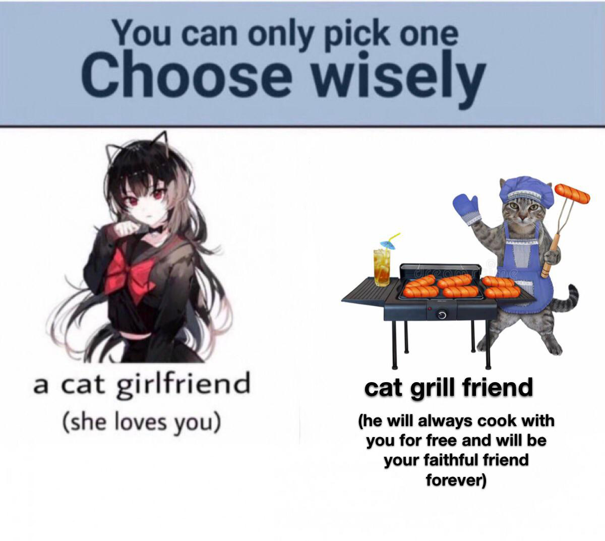 daily dose of pics - cartoon - You can only pick one Choose wisely a cat girlfriend she loves you O cat grill friend he will always cook with you for free and will be your faithful friend forever