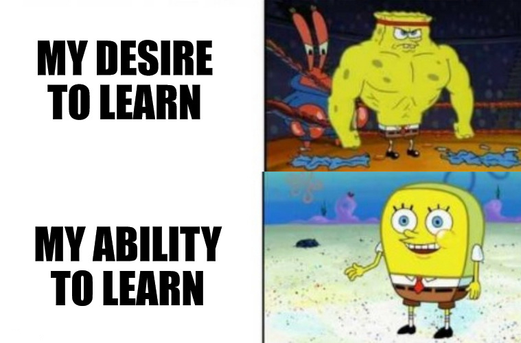 funny memes and pics - cartoon - My Desire To Learn My Ability To Learn