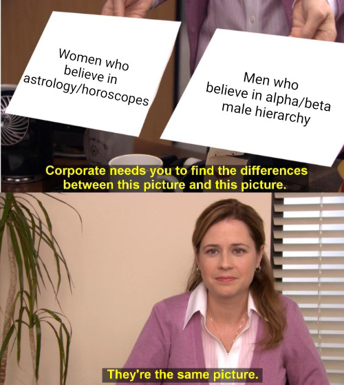 funny memes and pics - funny writing memes - Women who believe in astrologyhoroscopes Men who believe in alphabeta male hierarchy Corporate needs you to find the differences between this picture and this picture. They're the same picture.