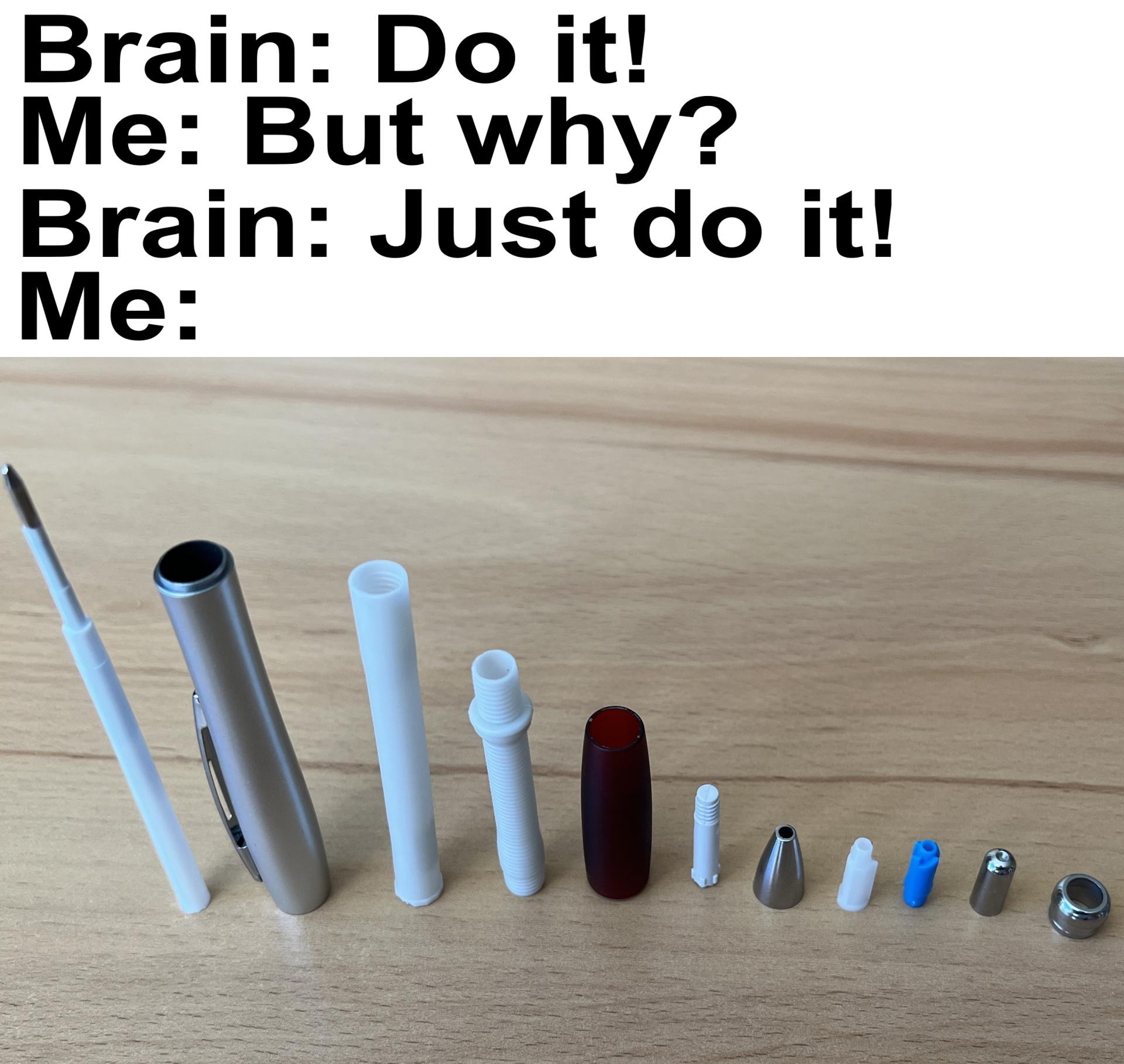 funny memes and pics - plastic - Brain Do it! Me But why? Brain Just do it! Me