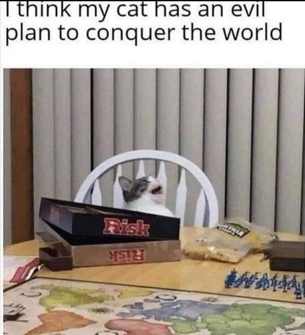 funny memes and pics - floor - I think my cat has an evil plan to conquer the world Risk Hstet