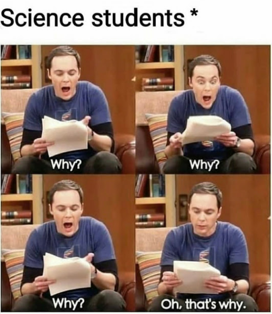 funny memes and pics - science student memes - Science students Why? Why? Why? Oh, that's why.
