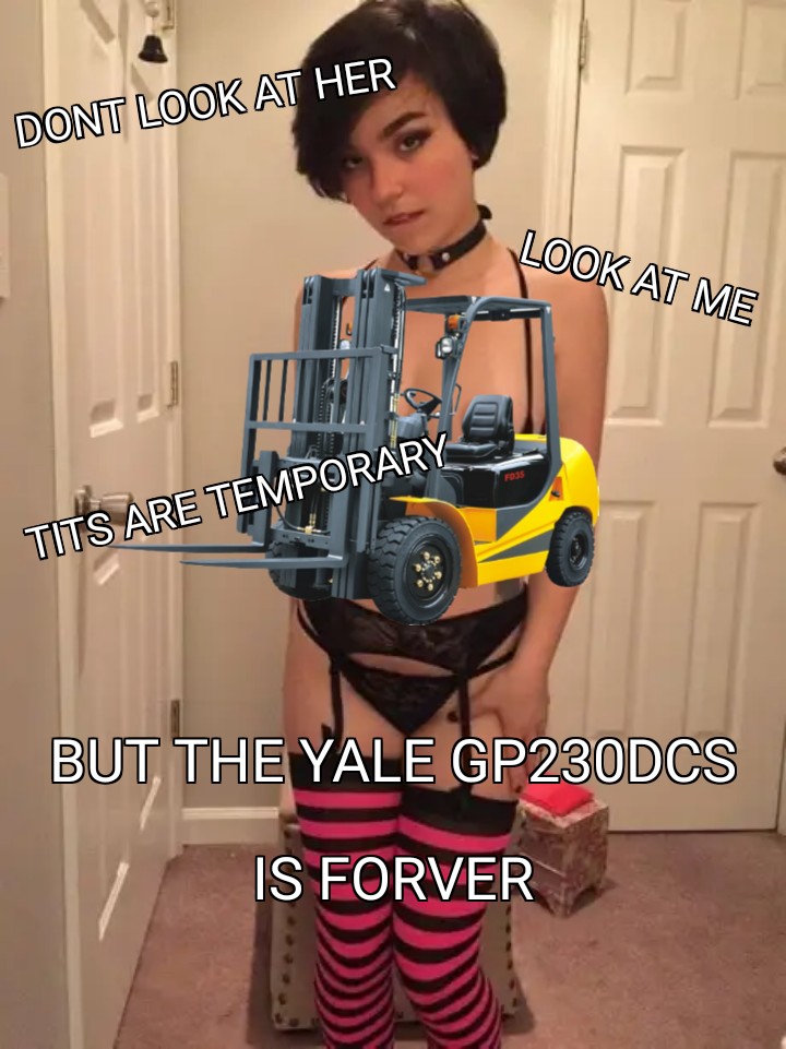 dank memes and pics - empilhadeira glp - Dont Look At Her Tits Are Temporary Look At Me But The Yale GP230DCS Is Forver