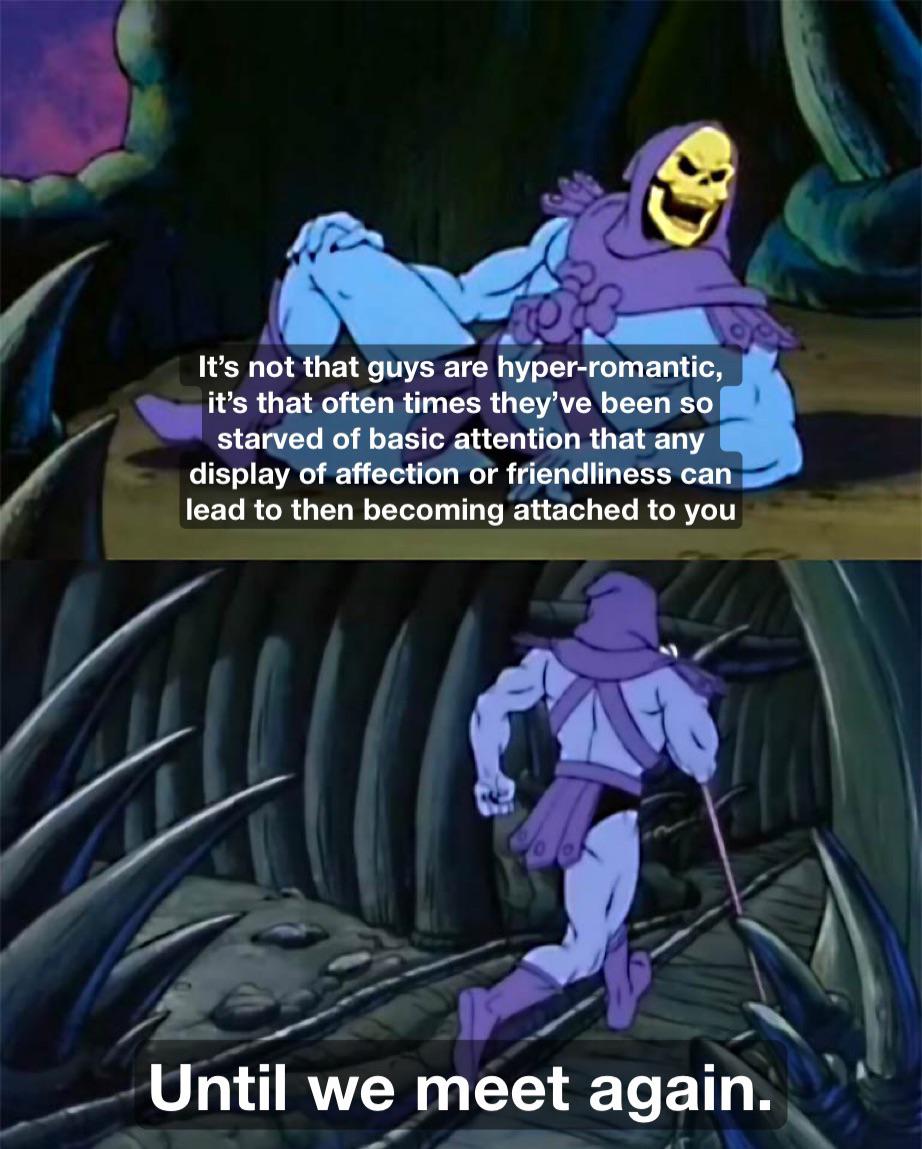 daily dose of memes - until we meet again skeletor - It's not that guys are hyperromantic, it's that often times they've been so starved of basic attention that any display of affection or friendliness can lead to then becoming attached to you Until we me