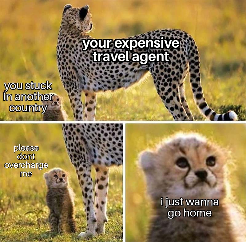 dank memes and funny pics - baby cheetah meme template - you stuck in another country please dont overcharge me your expensive travel agent i just wanna go home