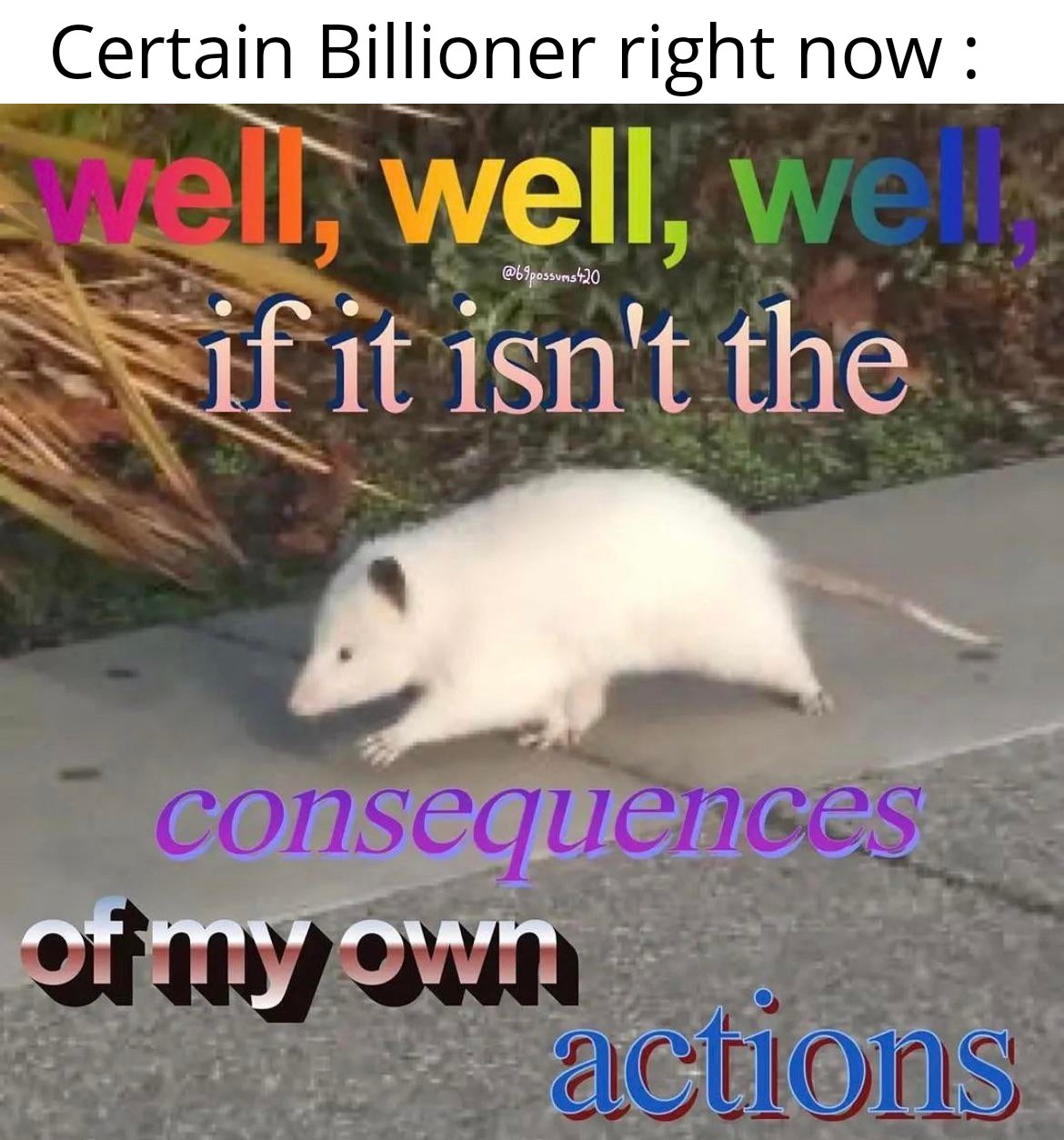 dank memes and funny pics - opossum memes - Certain Billioner right now well, well, we if it isn't the 420 consequences of my own actions