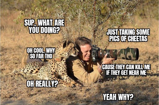 funny memes - animals photographers - Trac Sup, What Are You Doing? Oh Cool Why So Far Tho Oh Really? Just Taking Some Pics Of Cheetas Cause They Can Kill Me If They Get Near Me Yeah Why?