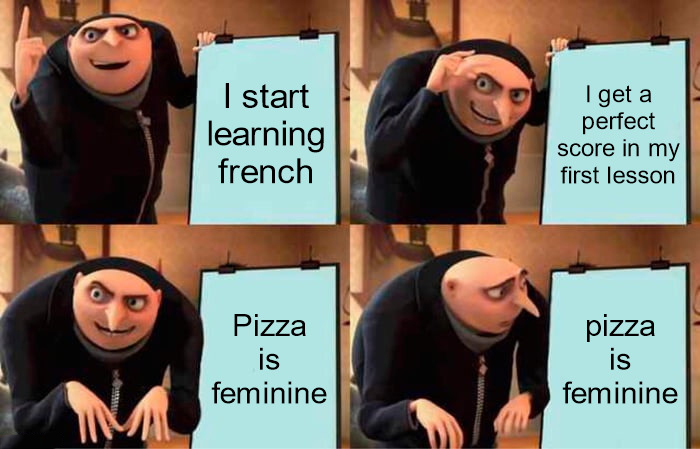 funny memes - data types memes - I start learning french Pizza is feminine I get a perfect score in my first lesson pizza is feminine