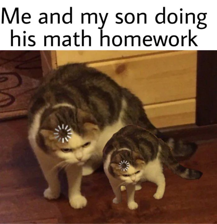 funny memes - homework cat memes - Me and my son doing his math homework