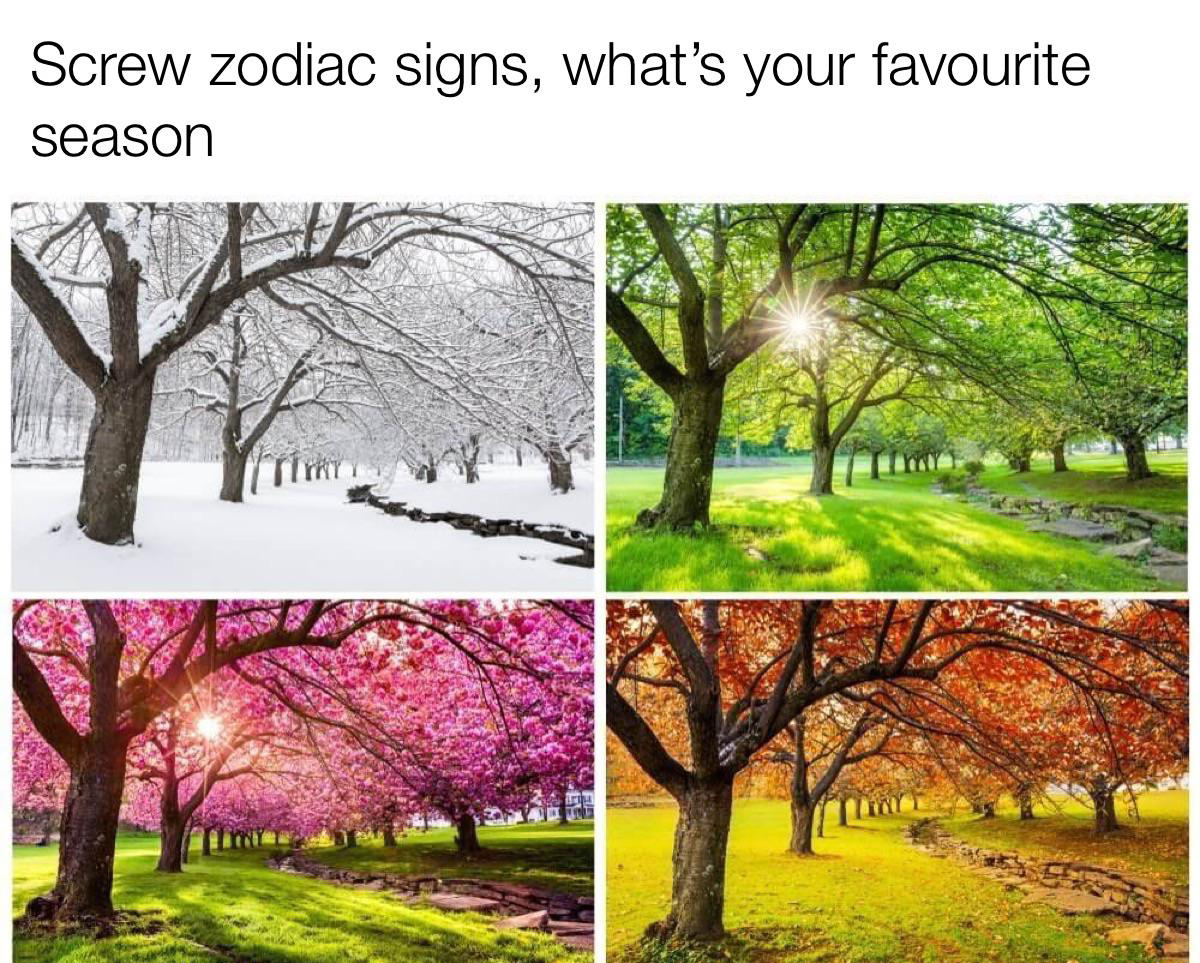 funny memes - Screw zodiac signs, what's your favourite season