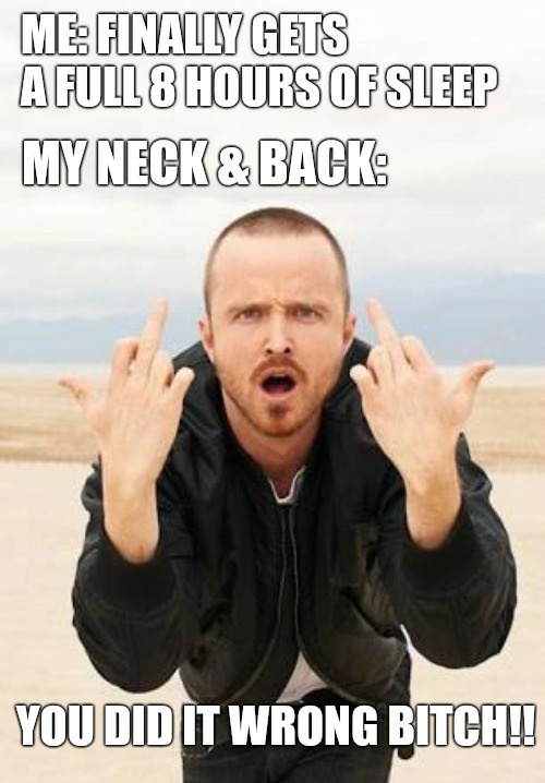 funny memes - jesse middle finger - Me Finally Gets A Full 8 Hours Of Sleep My Neck & Back You Did It Wrong Bitch!!