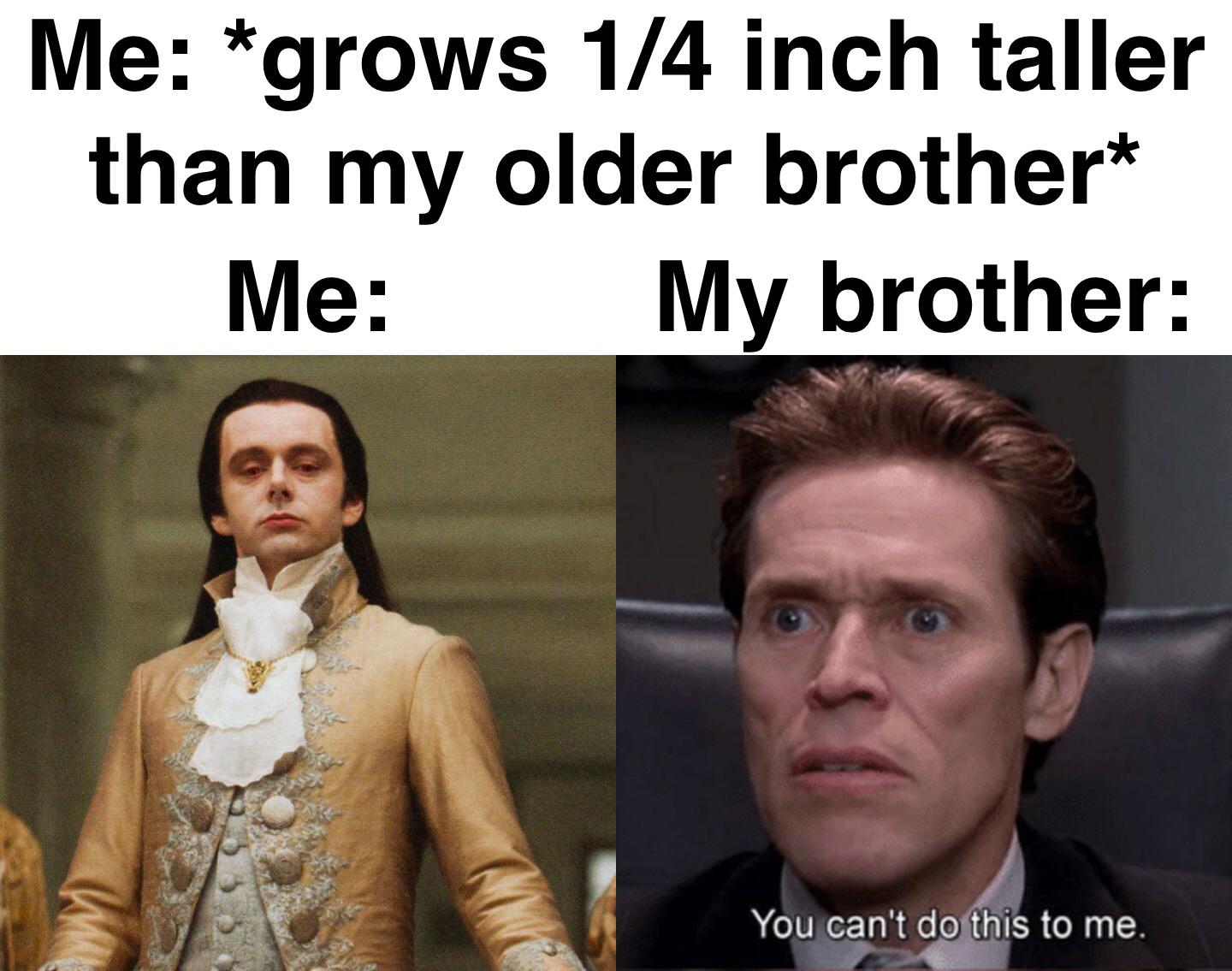 funny memes - photo caption - Me grows 14 inch taller than my older brother Me My brother You can't do this to me.