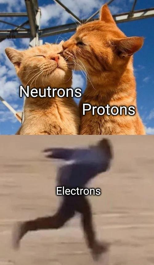 funny memes - cat kiss - Neutrons Protons Electrons