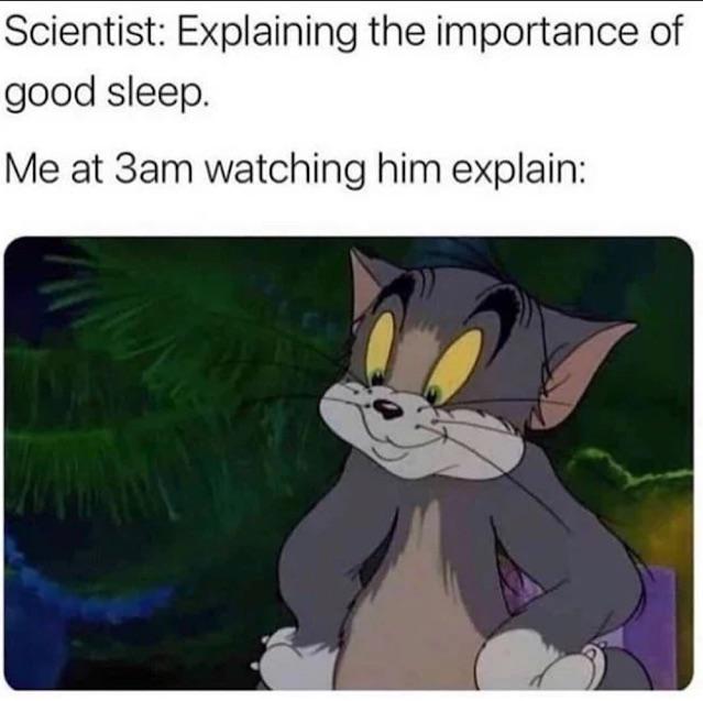 funny and dank memes - wholesome memes about grandmas - Scientist Explaining the importance of good sleep. Me at 3am watching him explain