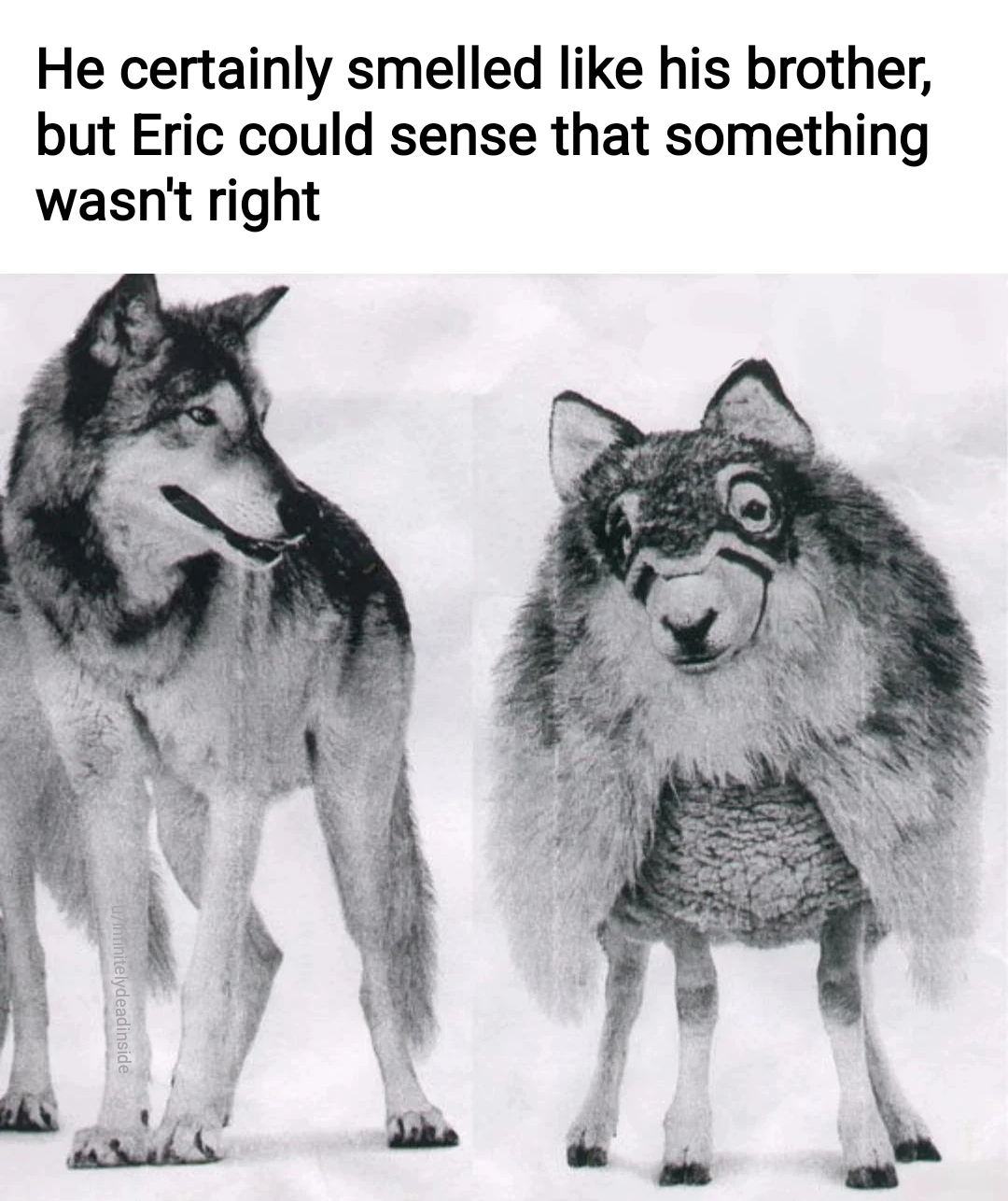 funny memes - He certainly smelled his brother, but Eric could sense that something wasn't right