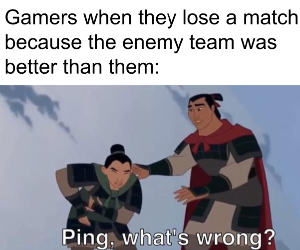 funny memes - Meme - Gamers when they lose a match because the enemy team was better than them Ping, what's wrong?