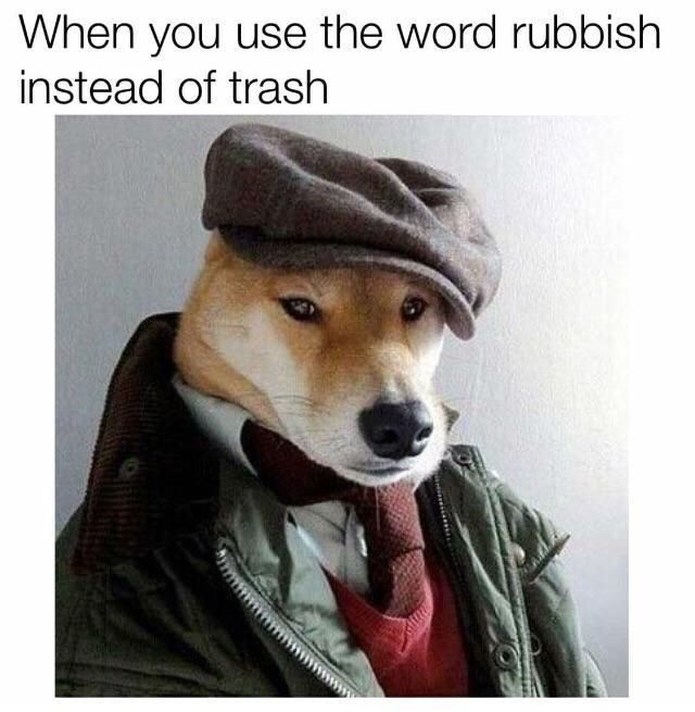 funny memes - you use the word rubbish instead - When you use the word rubbish instead of trash