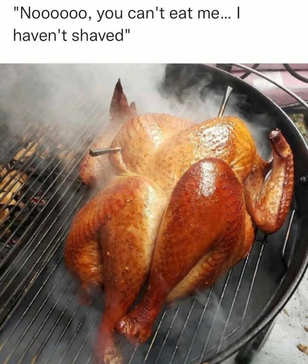 monday morning randomness - turkey i haven t shaved - "Noooooo, you can't eat me... I haven't shaved"
