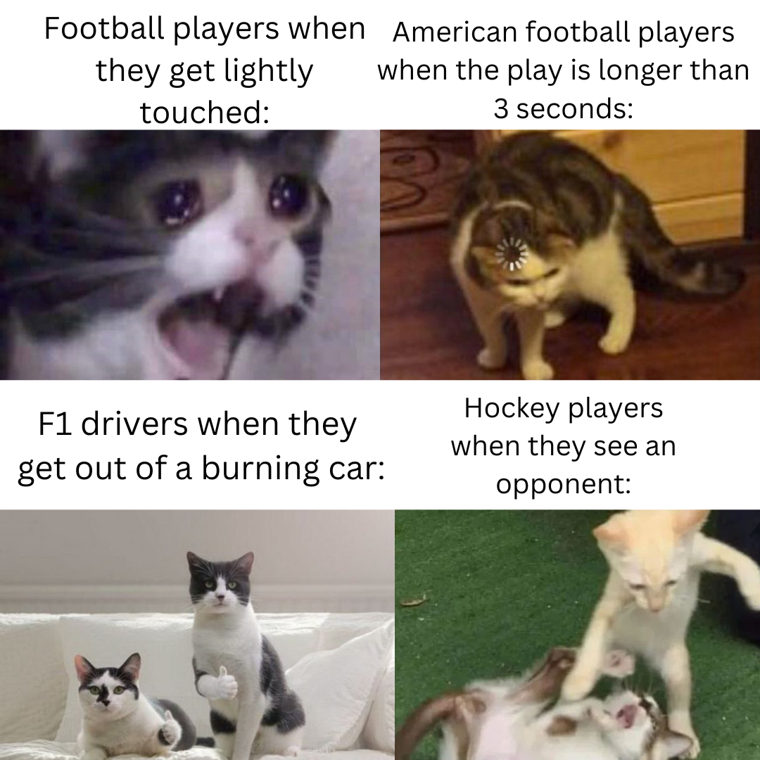 monday morning randomness - photo caption - Football players when American football players when the play is longer than 3 seconds they get lightly touched F1 drivers when they get out of a burning car Hockey players when they see an opponent
