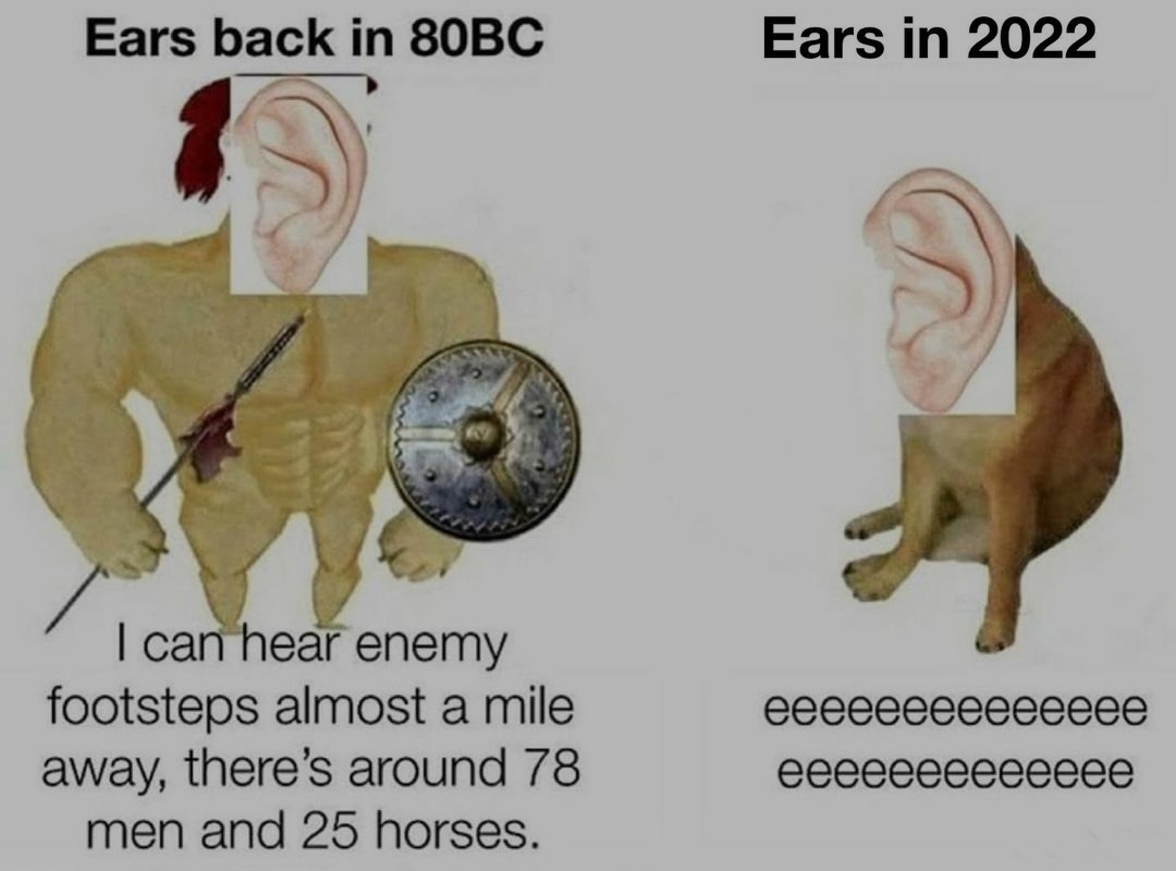 monday morning randomness - gay zone - Ears back in 80BC I can hear enemy footsteps almost a mile away, there's around 78 men and 25 horses. Ears in 2022