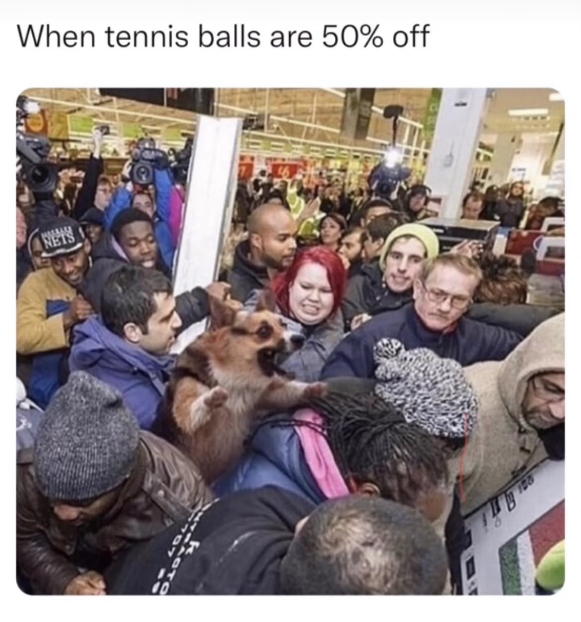 monday morning randomness - tennis balls are 50% off - When tennis balls are 50% off Nets Ro L