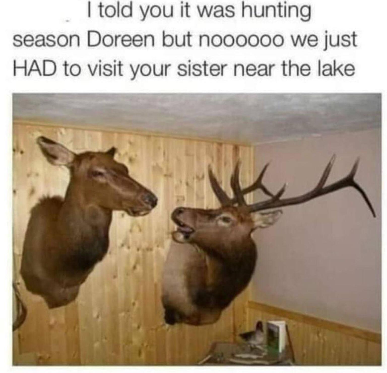 funny memes - told you it was hunting season doreen - I told you it was hunting season Doreen but noooooo we just Had to visit your sister near the lake